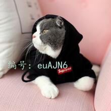 ЧӦ