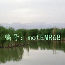 ѧϰ
