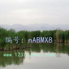 ǰ