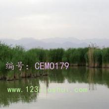 ǰ