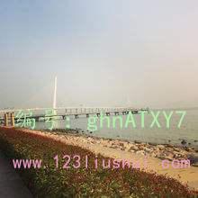 ҵ