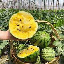 Ļ