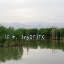 Ŀ