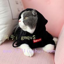 벻