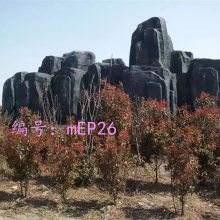 ź