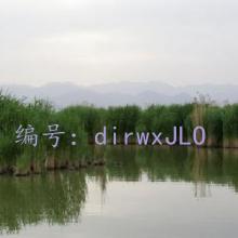 Ͻ