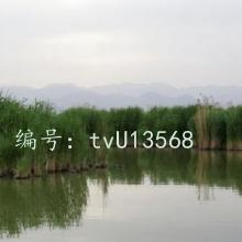 ǰ