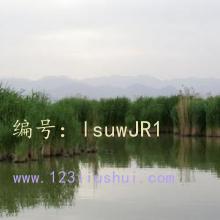ǰ