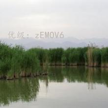 ǰ